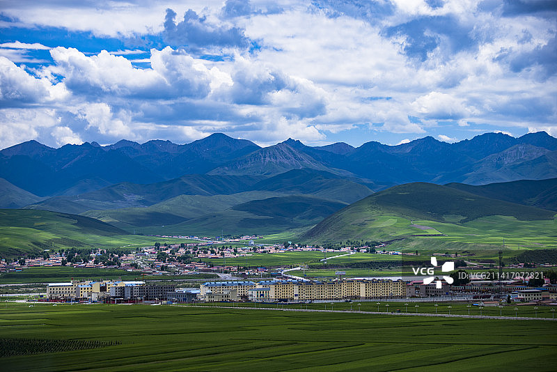 青海海北门源万亩油菜花海图片素材
