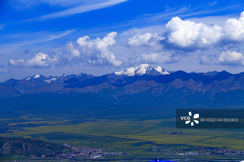 青海海北门源万亩油菜花海图片素材