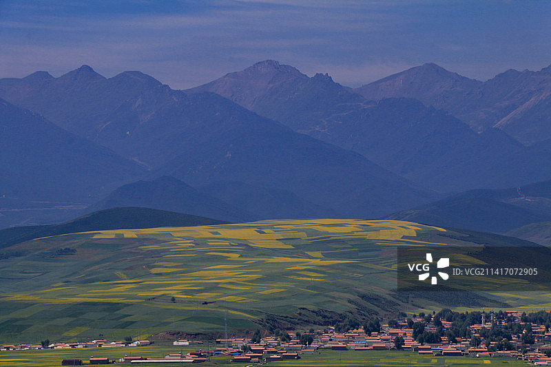 青海海北门源万亩油菜花海图片素材