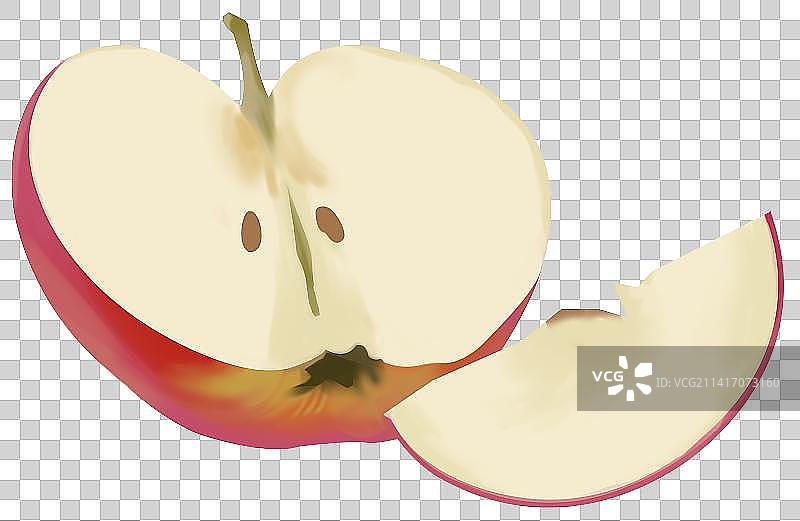 植物水果营养健康维生素微量元素苹果果实果肉果核食品食物食材食用元素插画图片素材