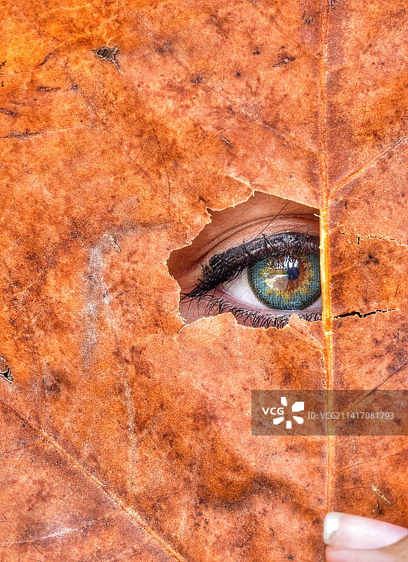 眺望远方的女人，土耳其图片素材