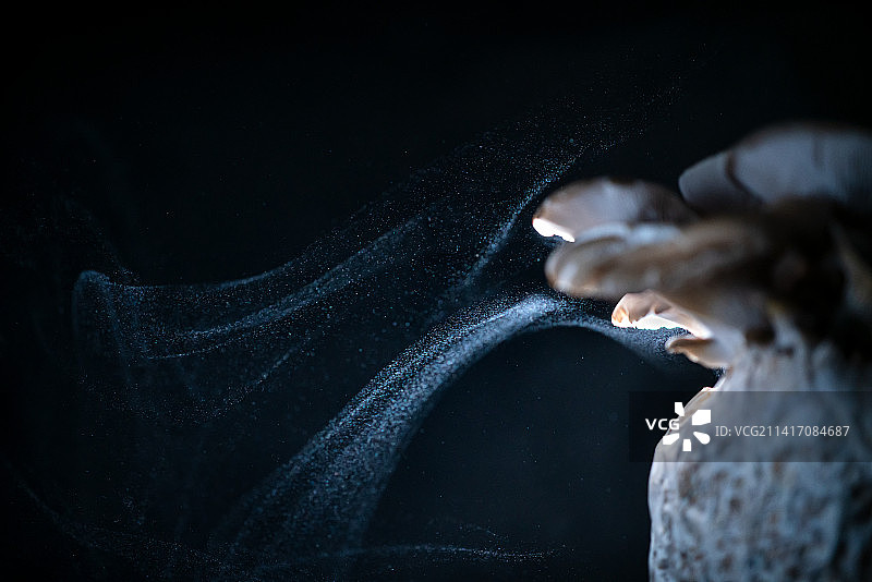 蘑菇孢子粉喷发图片素材