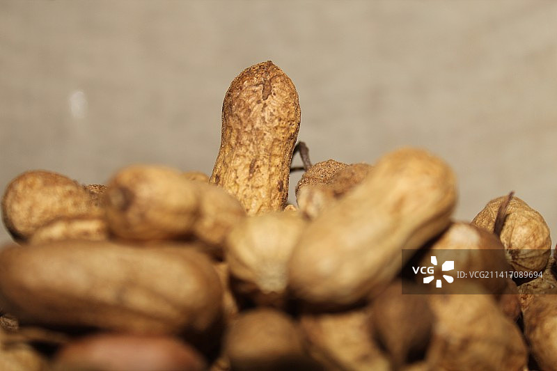 花生特写图片素材