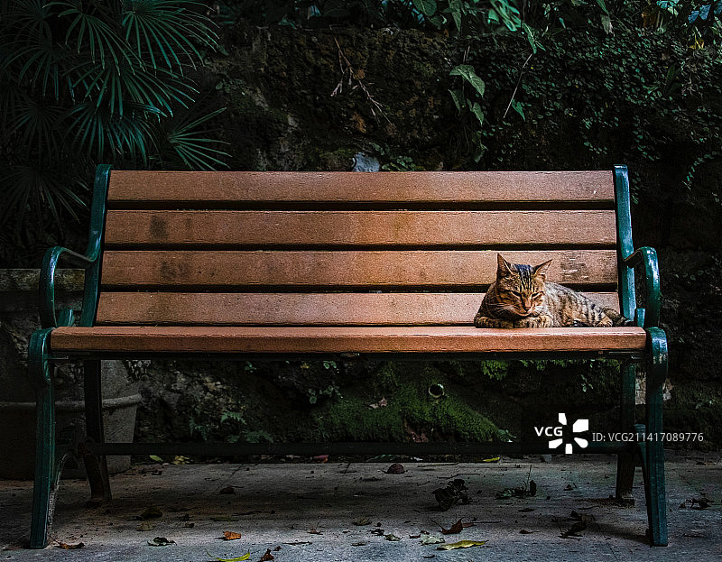 印度尼西亚公园里的空长椅图片素材