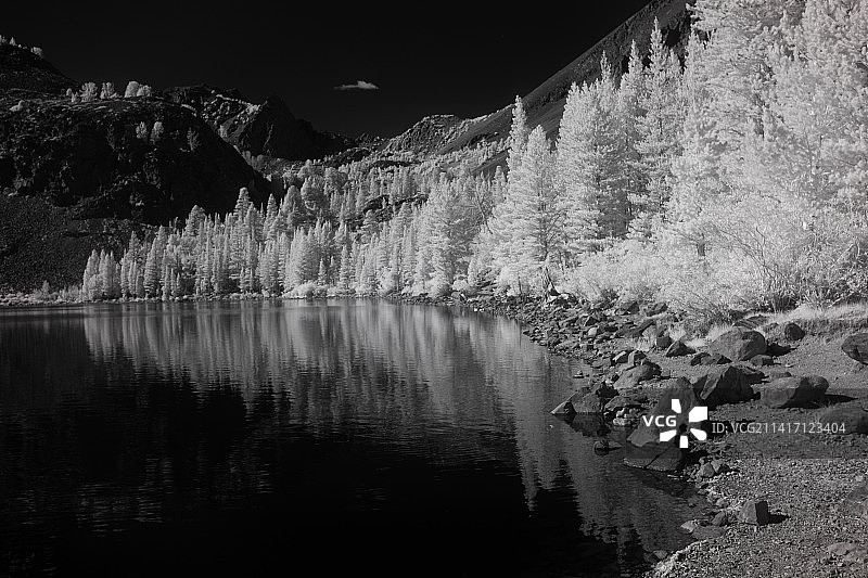 美国加利福尼亚州迷失湖湖畔树木天空美景图片素材