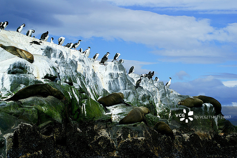 比格尔海峡 - 火地群岛中的海峡，火地岛国家公园，阿根廷图片素材