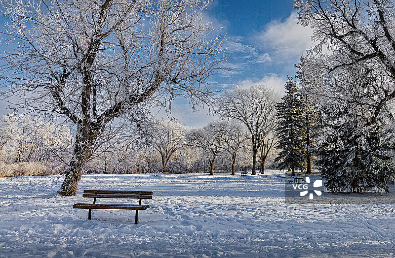 加拿大马尼托巴省温尼伯雪地里的空长椅图片素材