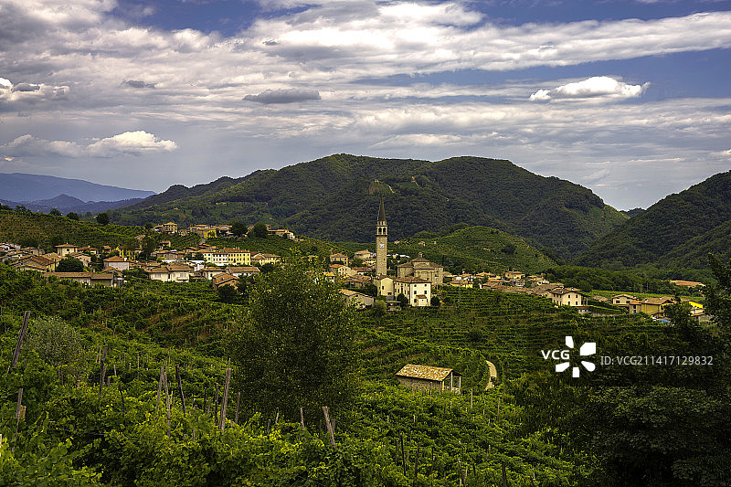 普罗塞克和科内利亚诺葡萄酒之路葡萄园，位于意大利特雷维索省瓦尔多比亚德内图片素材