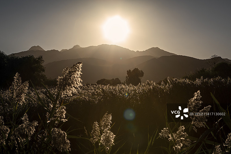 圣特奥多罗泻湖日落芦苇与远山图片素材