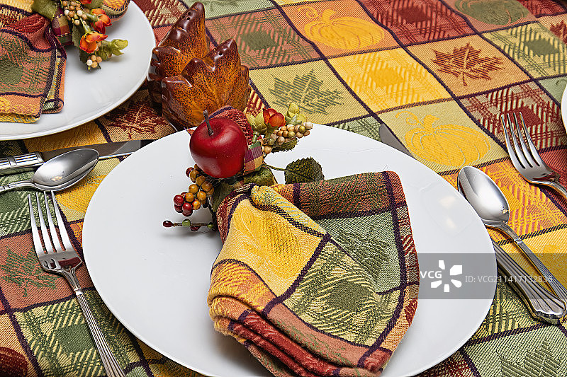 加拿大马尼托巴省温尼伯的餐桌摆设俯视图图片素材