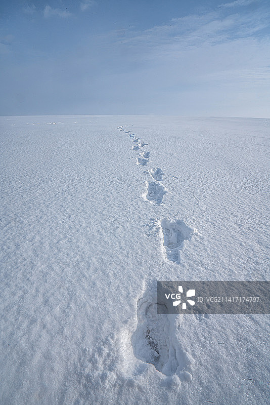 蓝色天空下平坦的雪地上的脚印图片素材