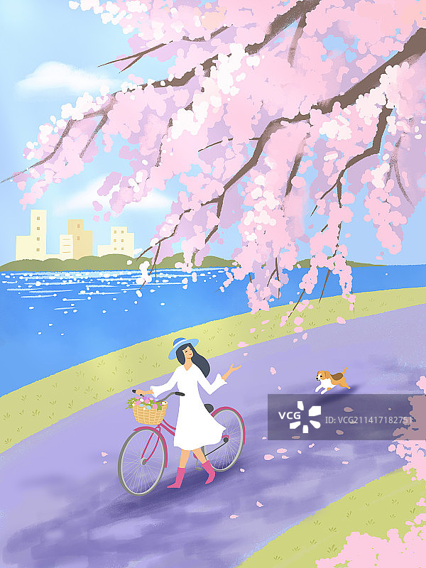 《午后小路》图片素材