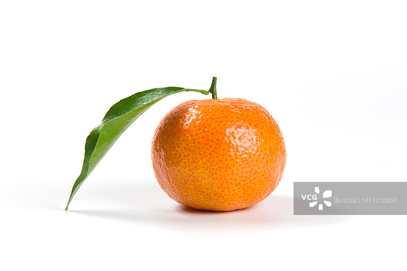 白色背景上的砂糖橘小橘子图片素材