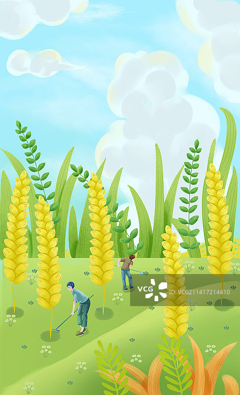 芒种节气插画图片素材