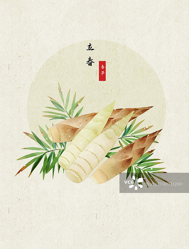 立春春笋插画图片素材