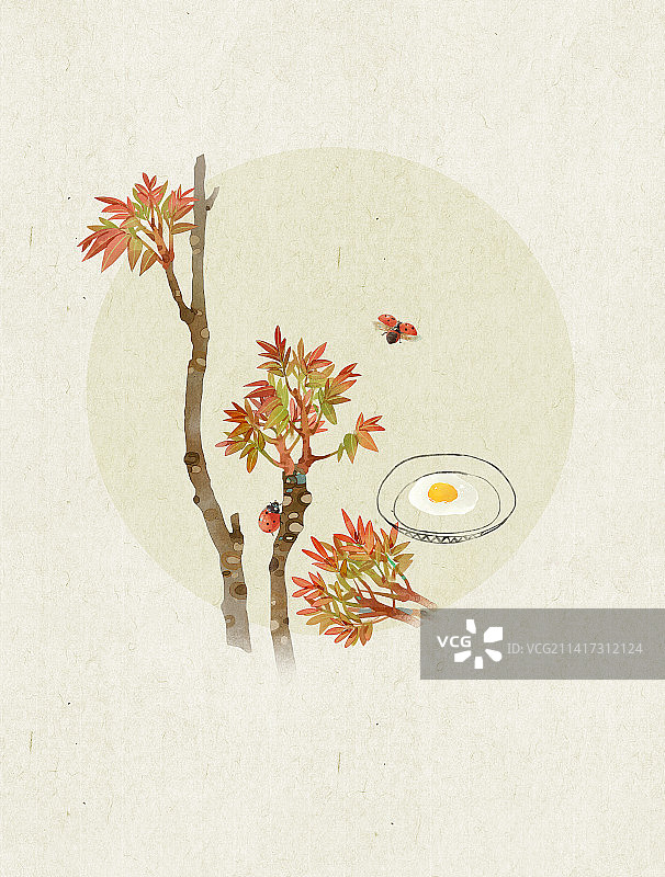 香椿插画图片素材