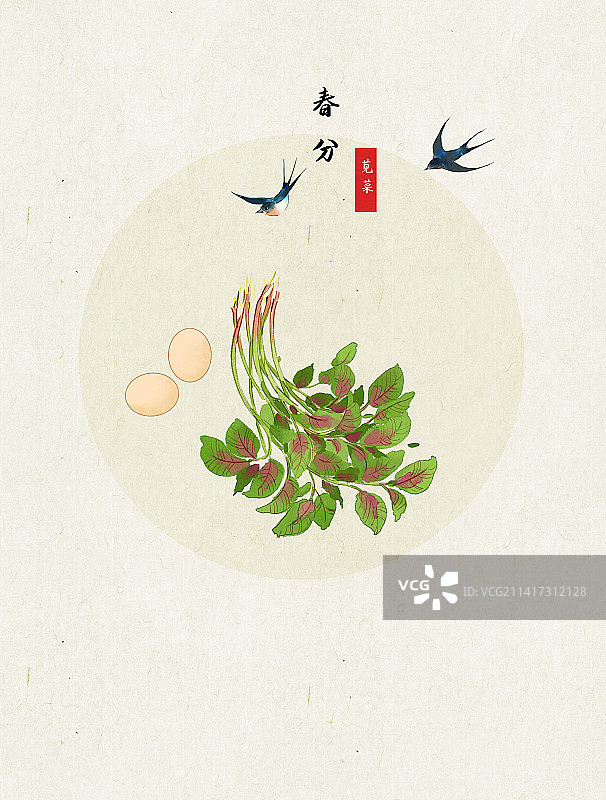 春分苋菜插画图片素材
