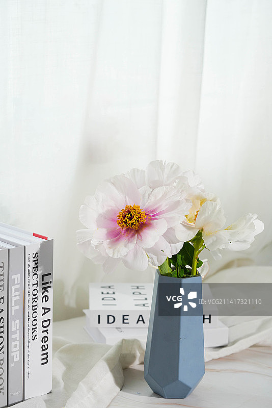 芍药花书籍图片素材