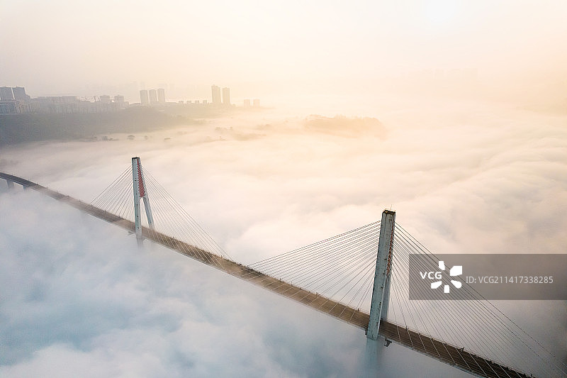 晨雾与大桥图片素材