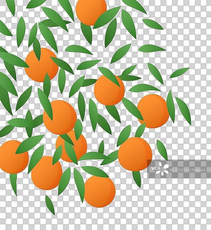 水果橙子叶子手绘插画图片素材