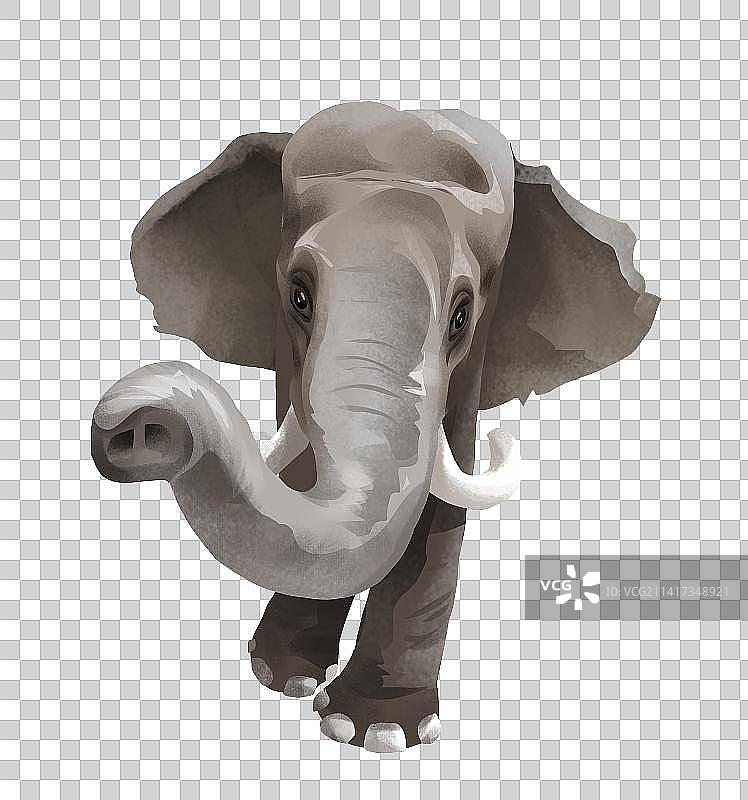 野生大象插画元素图片素材