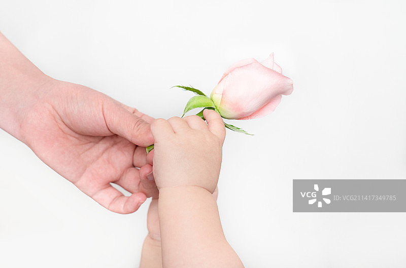 母亲给婴儿鲜花图片素材