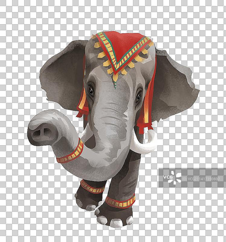 穿着节日服装的大象图片素材