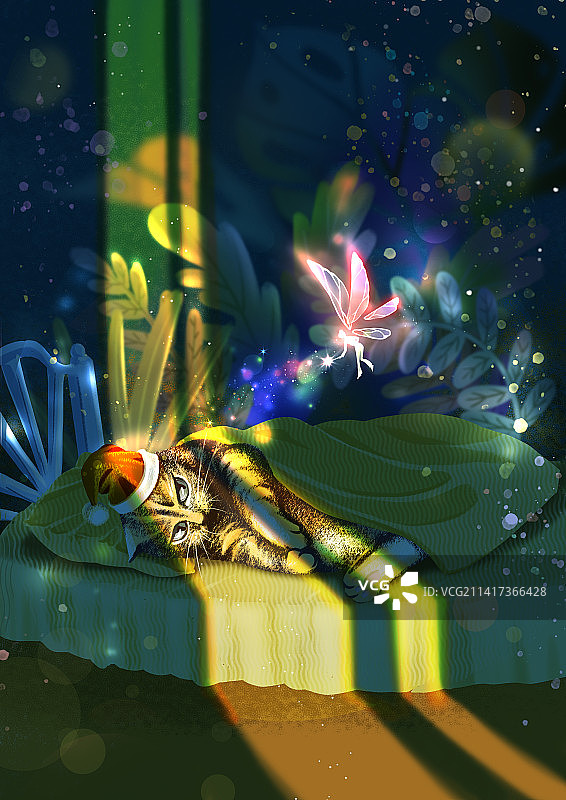 房间里被一束光照亮的猫咪和精灵图片素材