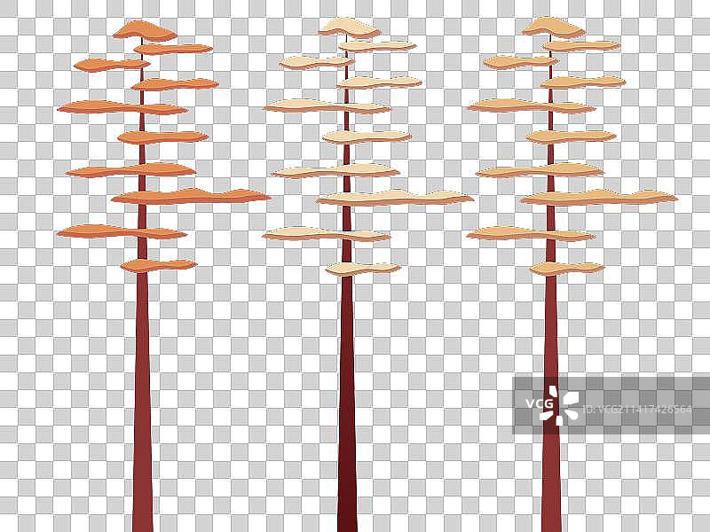 秋天的树图片素材