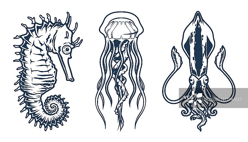 海洋动物单色贴纸套装图片素材