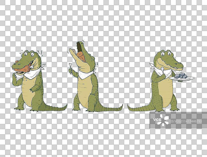 鳄鱼进食图片素材