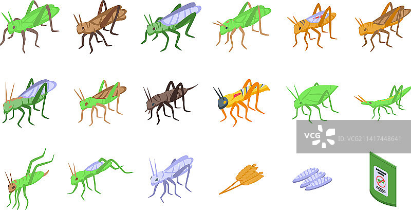 绿色昆虫等距风图标图片素材