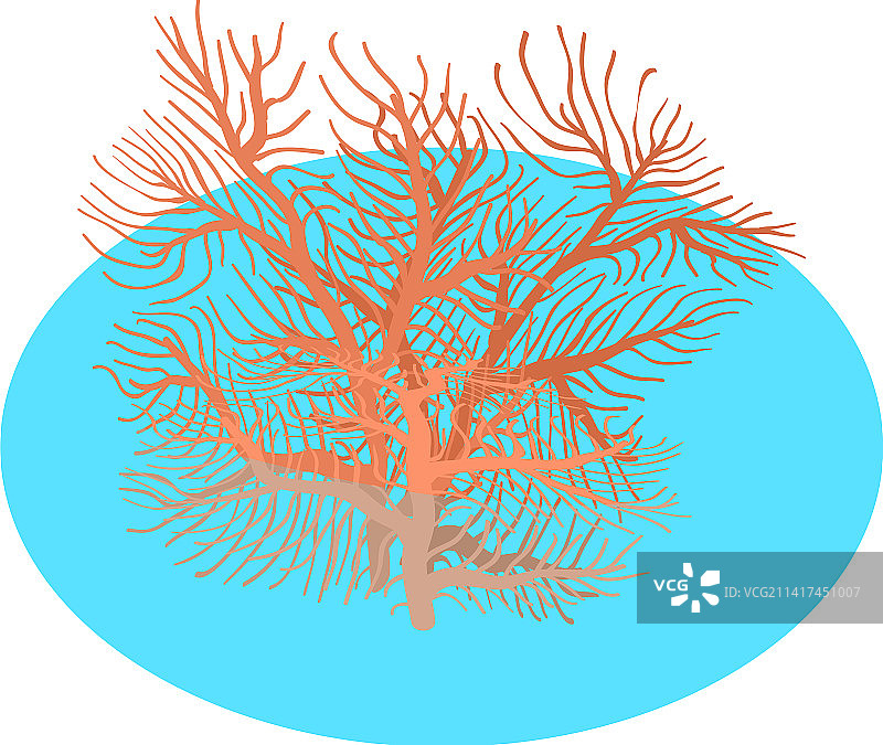 2.5D珊瑚图标红色分支图片素材