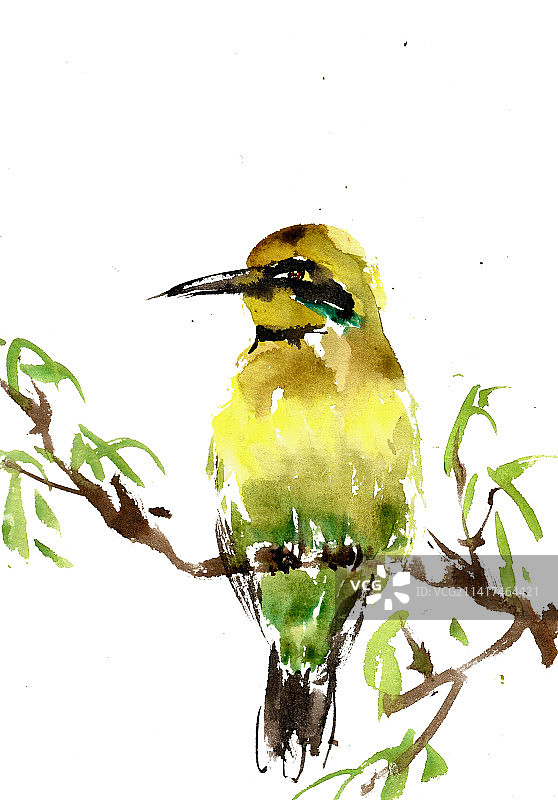 黄色的小鸟图片素材