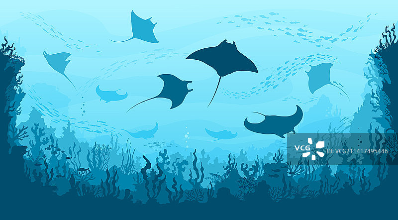 水下景观：蝠鲼和鱼群珊瑚图片素材