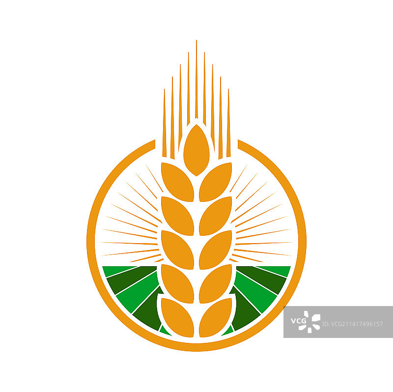 小麦黑麦或大麦的谷物穗图标图片素材