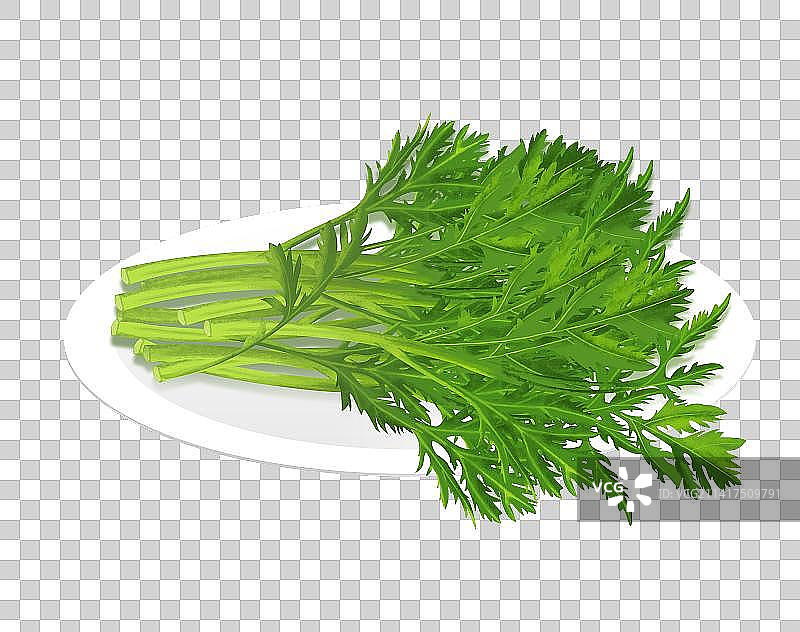 火锅涮菜青菜茼蒿插画图片素材