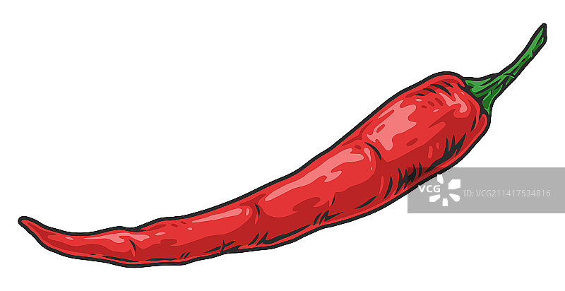 辣椒香料彩色标志设计图片素材
