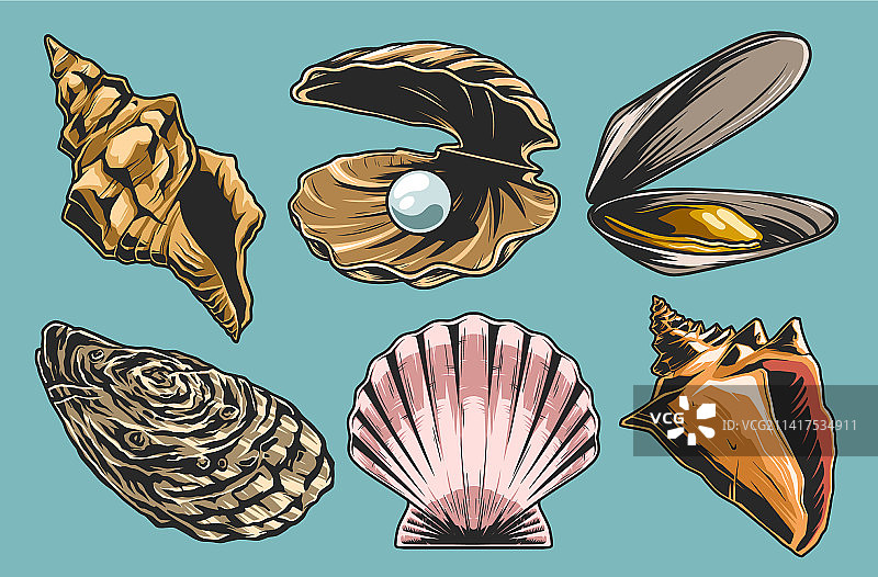 彩色海洋贝壳图案合集图片素材