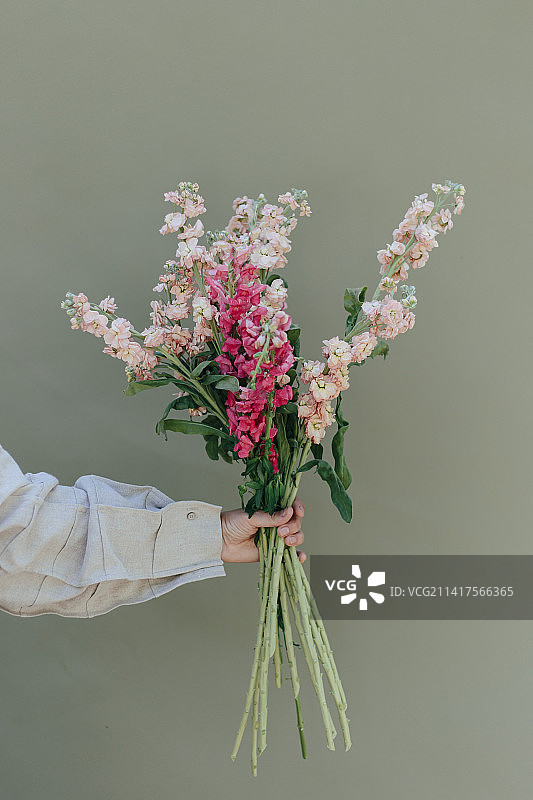 手持鲜花靠墙特写，东南苏拉威西，印度尼西亚图片素材