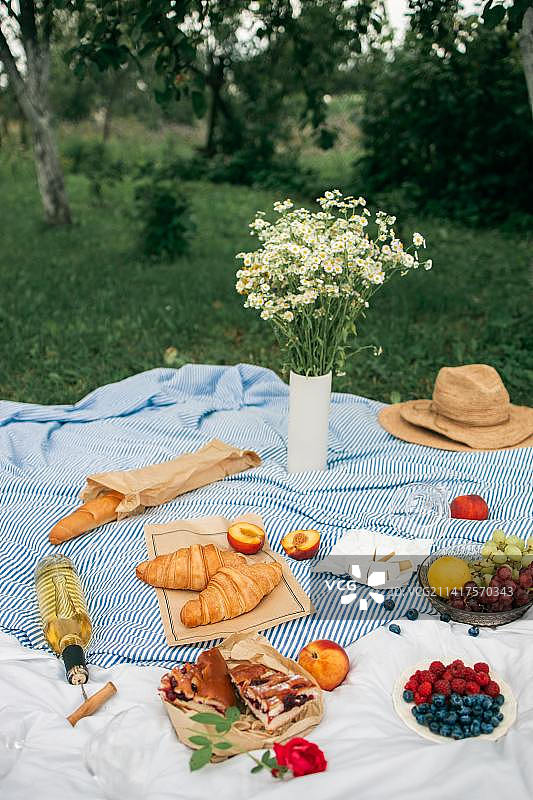 公园野餐毯上的食物和饮料的俯视角度，印度尼西亚图片素材