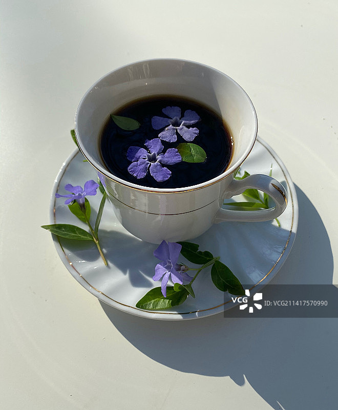 印度尼西亚茶杯中的草药茶俯视照片图片素材