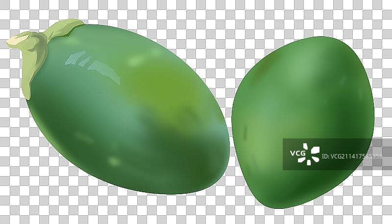 食品食物食材中药材槟榔致癌物口腔危害元素果实插画图片素材