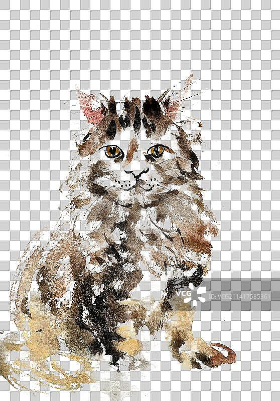 调皮的小猫图片素材