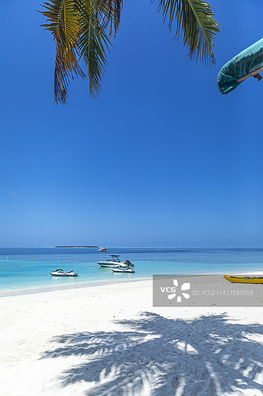浪漫国度美丽海滩棕榈树在马尔代夫图片素材