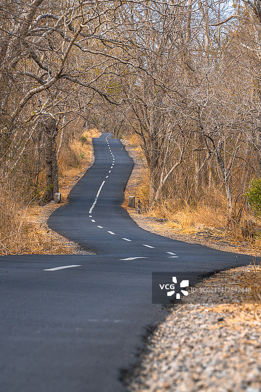 秋天的道路图片素材