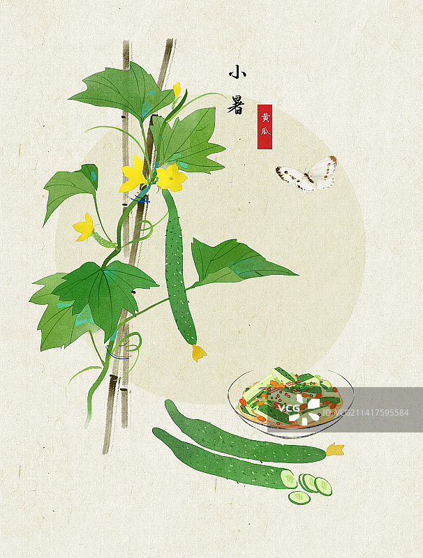 小暑黄瓜插画图片素材