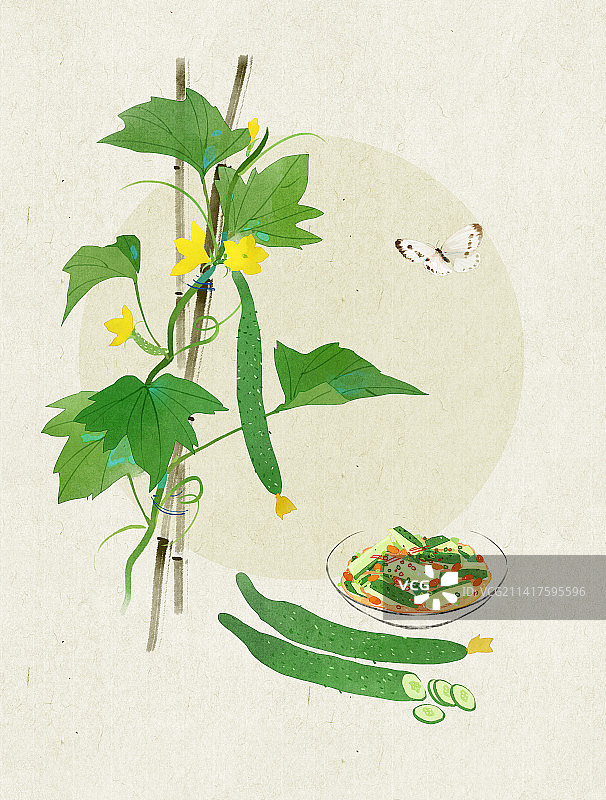 黄瓜插画图片素材