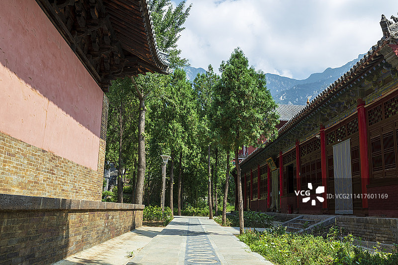 河南省郑州登封大法王寺夏天户外风光图片素材