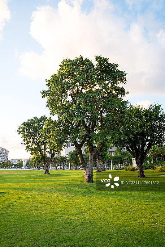 中国广东省珠海市金湾区金山公园景色图片素材